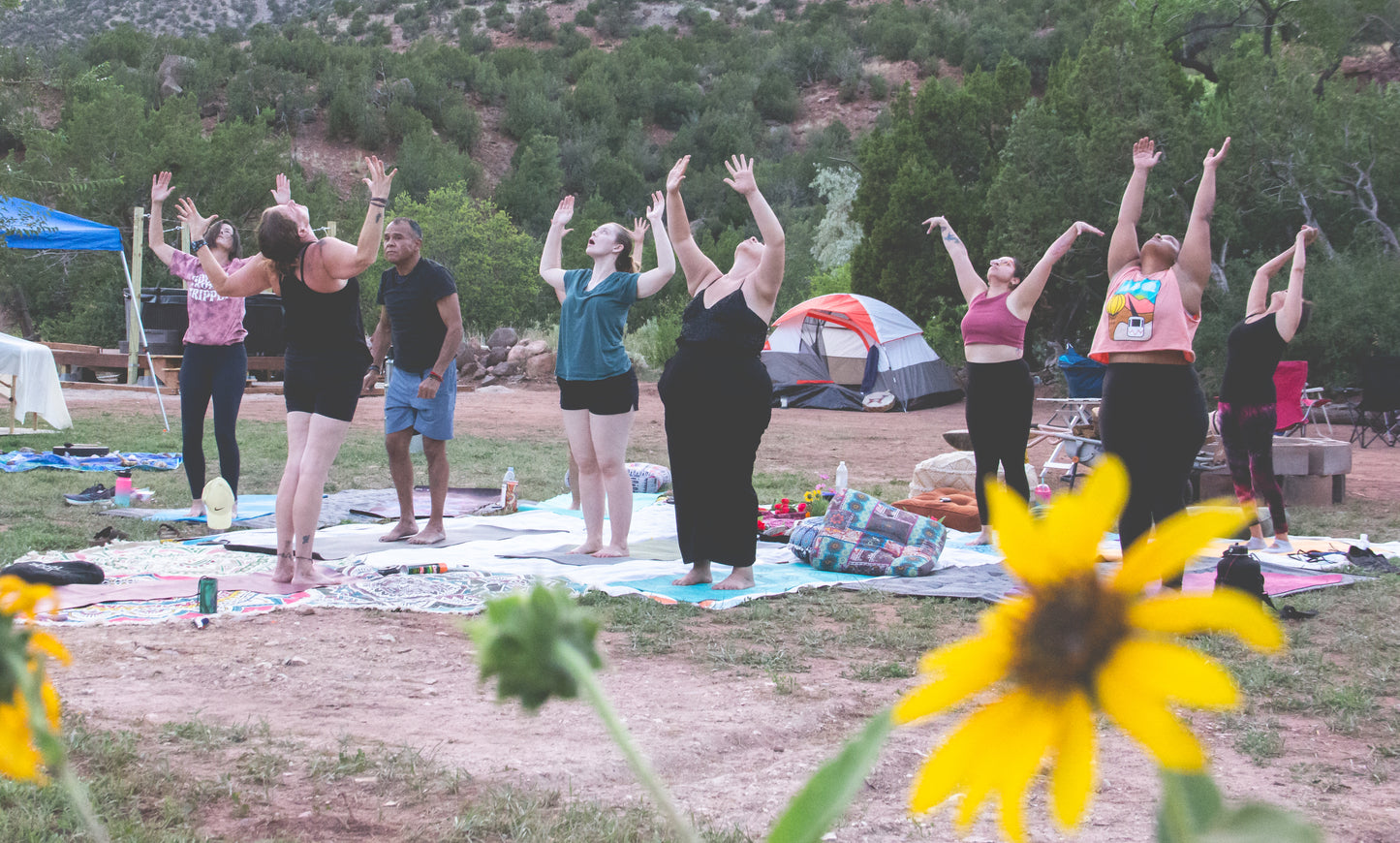 Canna-Yoga Camp-out RETREAT PASS (Camp style meals included)